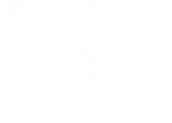 VP Engineering
